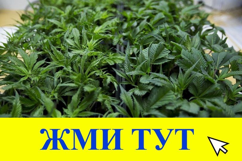 Купить наркотики в Майском